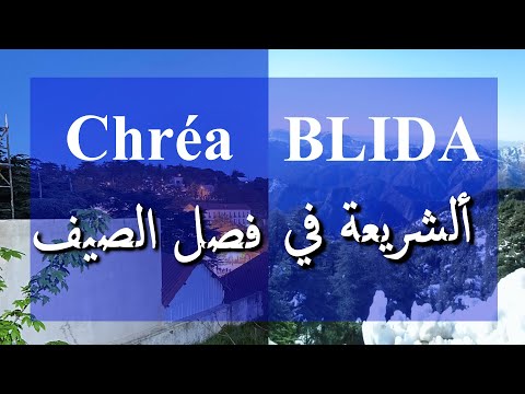 هل تستحق الشريعة بولاية البليدة الزيارة في فصل الصيف VLOG 4 K Chera Blida 