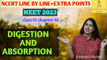 Digestion and Absorption Class 11: (NEET 2023) NCERT Line-by-Line #biological adda