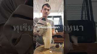 วิธีปอกทุเรียน #ทุเรียนจันทบุรี #ระยอง #subscribe #วิถีชาวบ้าน #shortvideo #sorts #เล่นสนุกๆ #durian