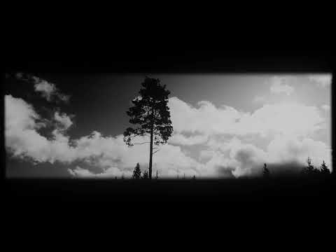 Hiidenhauta - Leväkkö (Official Music Video)