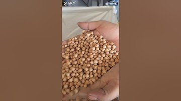 Chickpeas Cleaning Plant, Spain - Walk Through Video - AKY Technology
