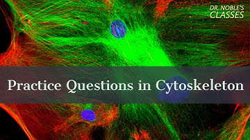 Practice Questions related to Cytoskeleton