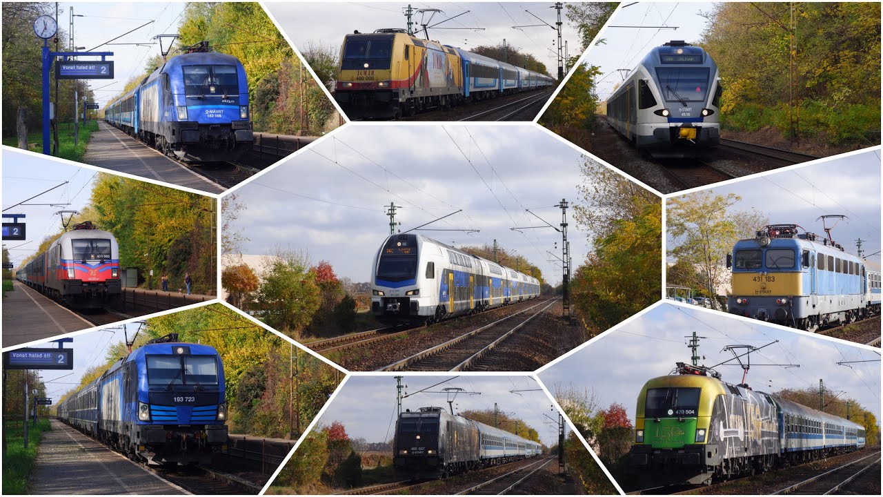 Best of 2025 4. rész: Maglódi nyaraló