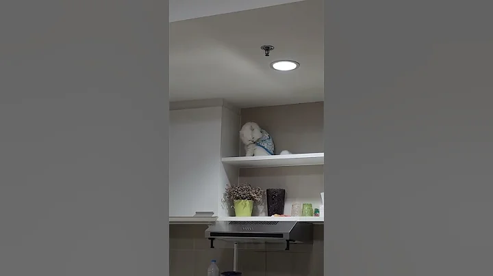 三天不打，上房揭瓦。它以为爬得高，我就打不着么？嗯，那么高，我还真打不着。 #可爱的猫咪 #猫咪迷惑行为 #可爱到爆炸 #猫 - 天天要闻