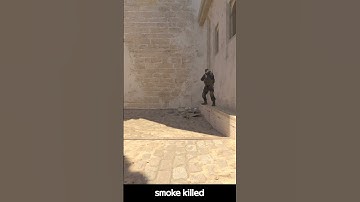 smoke killed #cs2moments #cs2moment #cs2 #cs2funny #cs2clips #cs2memes