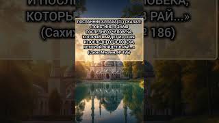 хадисы пророка(с.а.с) #Аллах #ислам #вера #пророк #коран #хадис #сподвижники #Бог #иман #шейх #рай