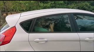 Trieste, Le Incredibili Immagini Dellincendio Sul Carso