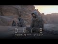 Dune meditate with stilgar  deep relaxation ambient music for focus  meditation  fremen music