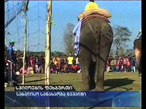 სპილოების ფეხბურთი