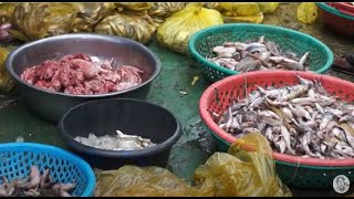 The River Of Life - Most Busy at Wet and Fish Distribution Market | Fishes for Foods and Businesses