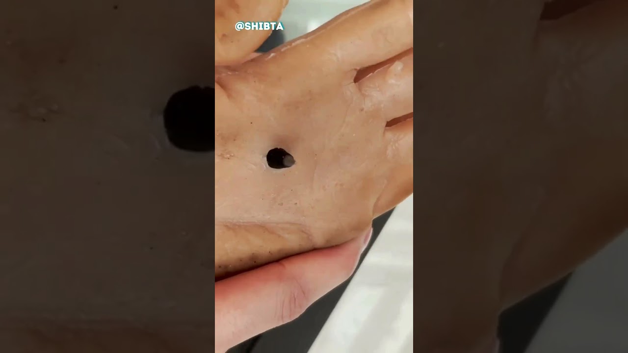 World's Most Dangerous Pencil 