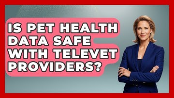 Is Pet Health Data Safe With TeleVet Providers? - TeleVet Talk