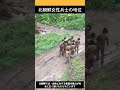 北朝鮮の女性兵士は軍隊でいじめ対象です #北朝鮮 #金正恩 #shorts