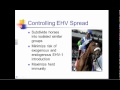 Ehv1 informational lecture  part 4 of 4 treatment  prevention