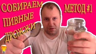 Собираем пивные дрожжи метод 1. Домашнее пивоварение.