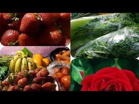 تخزين الخضار على رف الثلاجه لمده شهر بالطريقه الصح