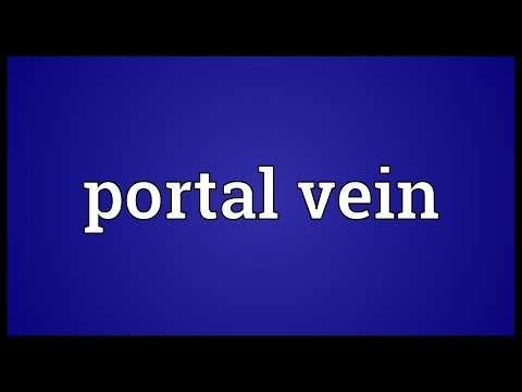 Portal vein Meaning