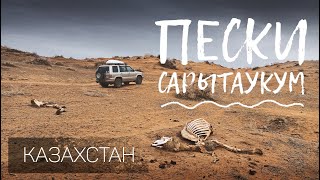 Пески Сарытаукум. Еду в пустыню, в Прибалхашье. Алматинская область. Казахстан.