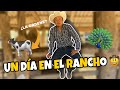 VIVI TODO UN DIA EN EL RANCHO || CHINOFENG CULICHI