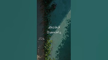 الشيخ أحمد العجمي سورة البقرة الآية 112.111 #اكسبلور #lovesong #حالات_واتس #المصحف #quran #دويتو