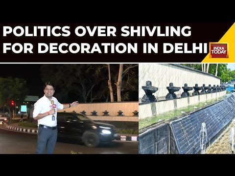 Delhi Shivling War: "A Shivling Is Not For Decoration And Dhaula Kuan Is Not Gyanvapi