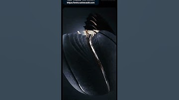 #wusdt #cryptocurrency #solana