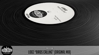 Lidez - Birds Calling (Original Mix) - Official Preview (Taken from B-2 Ep)
