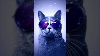 Cat Song | LIRANOV - Gyurza | Viral Tiktok #Shorts