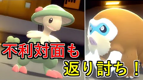 ポケモンダイヤモンド キノガッサ