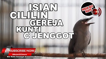 #1 🔴 Masteran Srigunting Abu Abu Gacor Isian Paling Asik 2023❗️