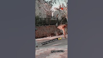 #stuntman #viral #shorts
