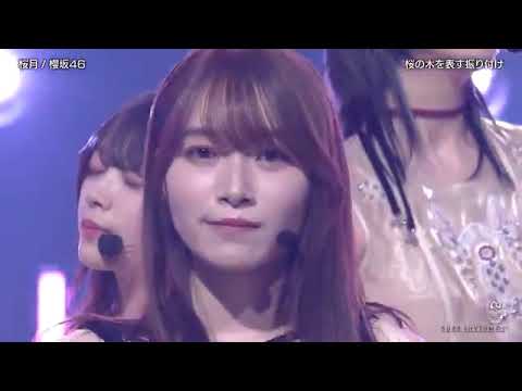 櫻坂46　桜月