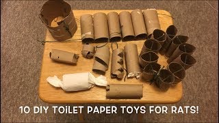 10 Awesome DIY Rat Toys to make with Toilet Paper Rolls!