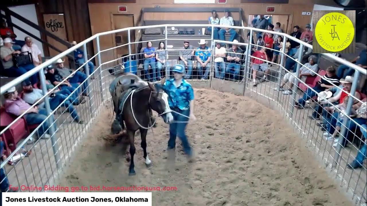 Jones Livestock Auction Jones, Oklahoma YouTube