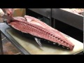生本マグロ解体販売　A tuna(Maguro) filleting event