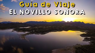 El Novillo Sonora: Guía de viaje Completa | Todo lo que tienes que saber ¿Que ver?