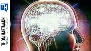 Celebrity Could Creativity be Linked to ADHD? (w/ Prof. Richard Silberstein) Profile