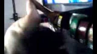 drinking from the machine screenshot 4