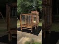 American bully kennel setups