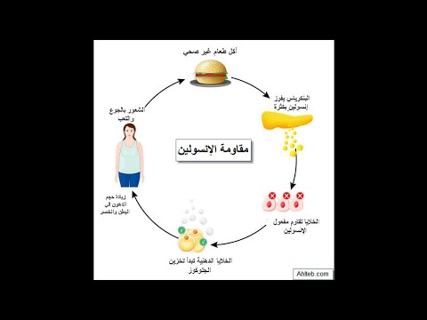 ما هي مقاومة الأنسولين والاعراض والمسبب والحلول مع د انس شلالفة استشاري أمراض القلب والشرايين