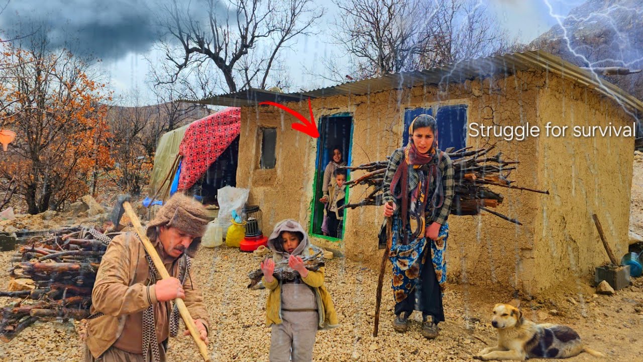 🌧 Nomadic Life in a Rainy Winter | Collecting Firewood in the Rain ...
