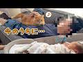 赤ちゃんが寝ている隙に飼い主に甘える猫が可愛すぎる!