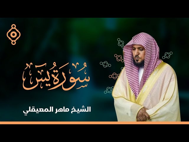 Surat Yasin Maher Al Muaiqly | سورة يس  - الشيخ ماهر المعيقلي class=