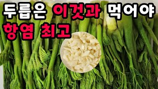 💚두릅 ○○과 먹으면 항암 항염에 최고! 두릅 제발 튀김, 장아찌만 먹지 마세요 두릅 이 방법이 최고입니다