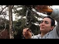 Üzümün budanması. Qarışıq videolar ve insta storyler 😊