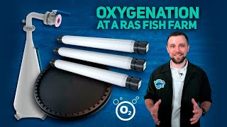 Oxygenation in RAS | What EQUIPMENT UNITS are needed for SATURATING WATER with OXYGEN?