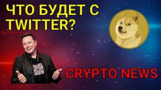 ИЛОН МАСК ЗАКРЫЛ СДЕЛКУ ПО ТВИТЕРУ И DOGECOIN ПЕРЕХОДИТ В CORDANO | Crypto News