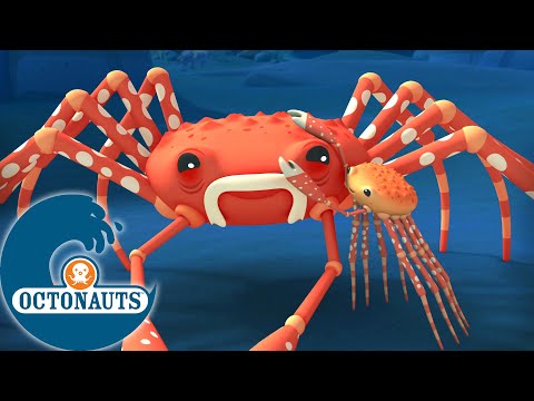 Octonauts - Le Crabe-Araignée Géant | Dessins animés pour enfants