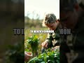 Fire Sparks and Forage A Fresh Wilderness Skill Short