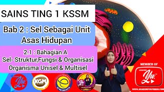 SAINS TING 1 KSSM. Bab 2: Sel / 2.1 (A) Sel Struktur,Fungsi & Organisasi) Organisma Unisel& Multisel